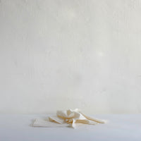 Off white linen napkin